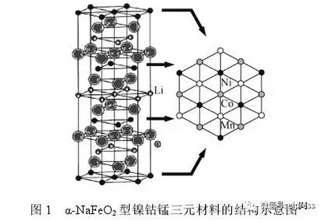 editor1527169547441962.png 1.png